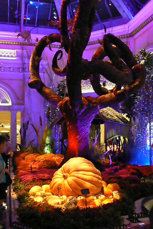 23 Hall Del Bellagio Hotel